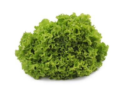 Салат айсберг 300 г - купить в Нуренере